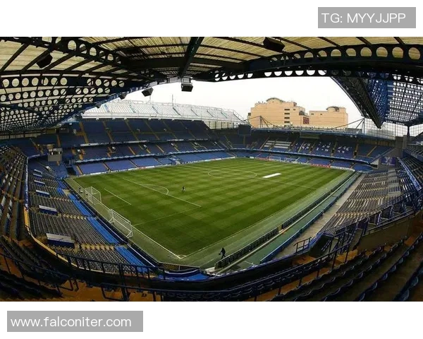 全球足球明星风采简介与成就概览让你了解他们的传奇故事与球场魅力