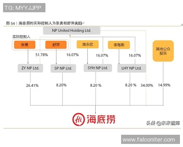 深圳篮球队的战术解析与控制策略深度剖析